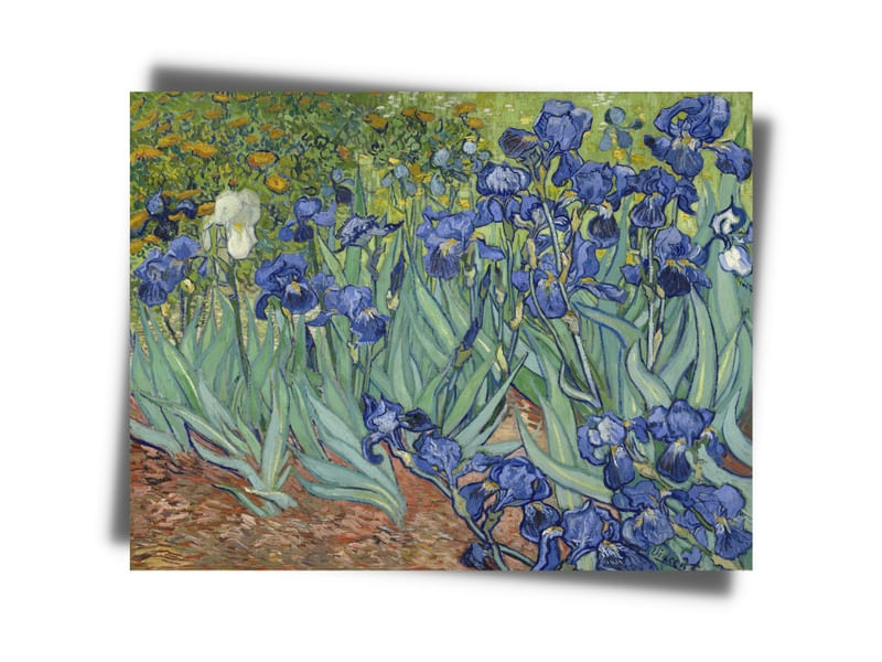 LÍRIOS - VAN GOGH FIGURE