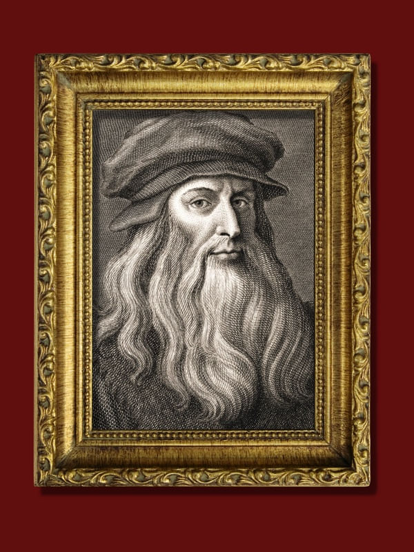 DA VINCI IN FRAME