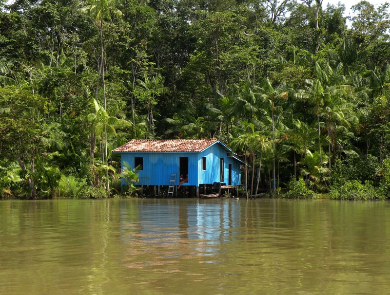 PALAFITA AZUL