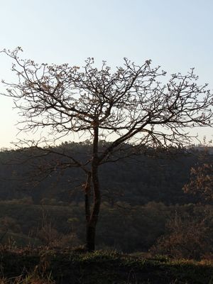 SECURA DE INVERNO