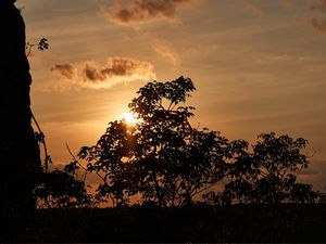 SOMBRAS E SOL - COLEÇÃO NATUREZA EM BRONZE