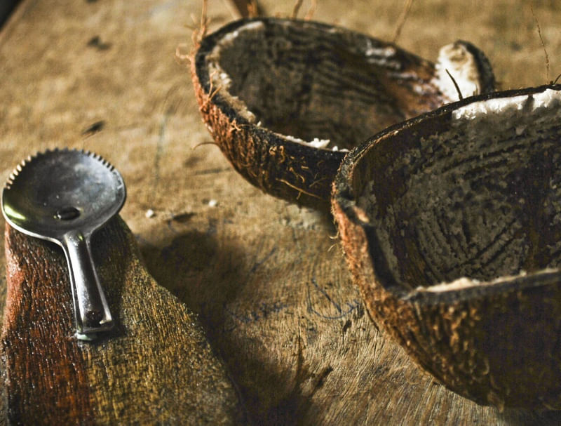 RALADOR DE COCO