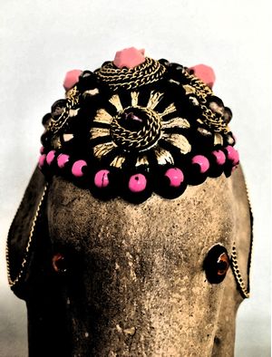 O OLHAR DO ELEFANTE ENIGMÁTICO