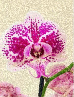 MOSAICO DE ORQUÍDEA
