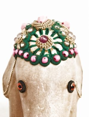 O OLHAR DO ELEFANTE BRILHANTE