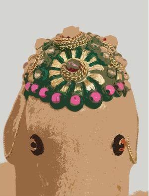 O OLHAR DO ELEFANTE DESENHO