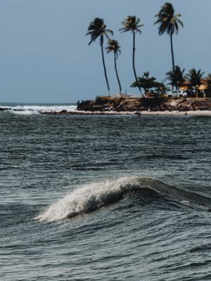 BLUE WAVE BLUE