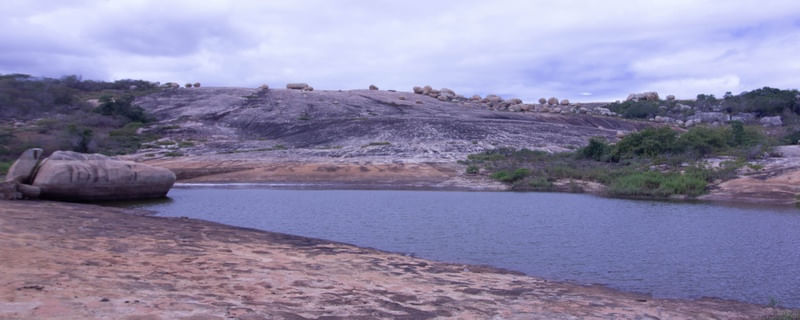 PAI MATEUS 10