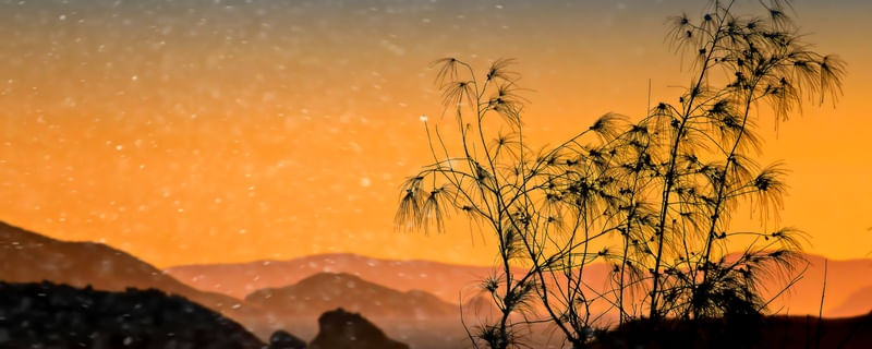 PANORÃMICA ORANGE