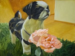 CACHORRO E FLOR