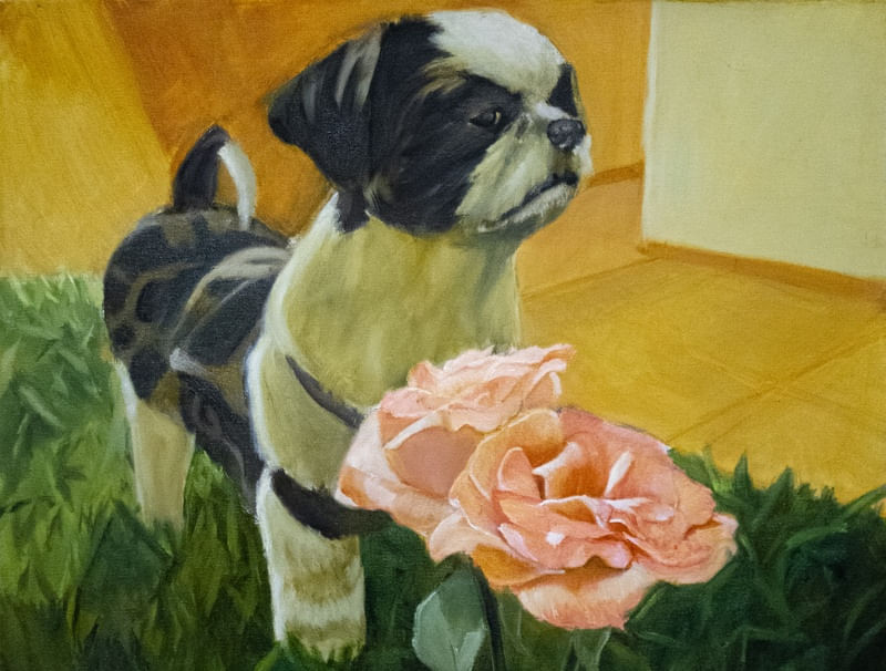 CACHORRO E FLOR