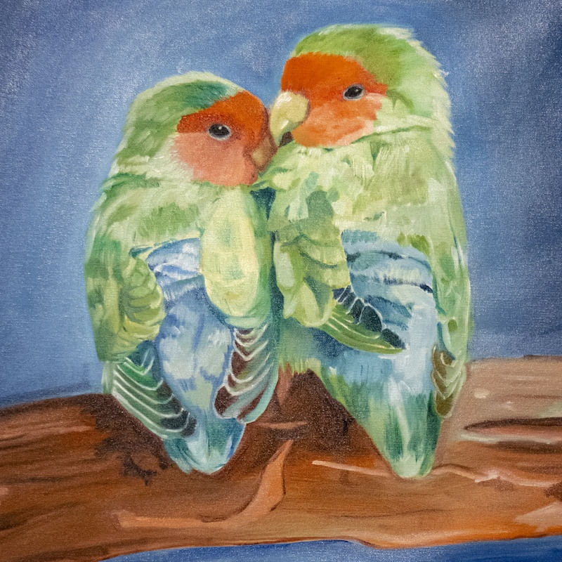CASAL DE AGAPORNIS