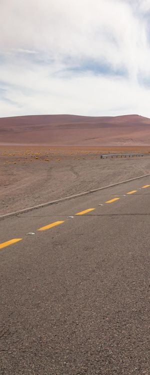 DESERT TRIP - TRÍPTICO 1
