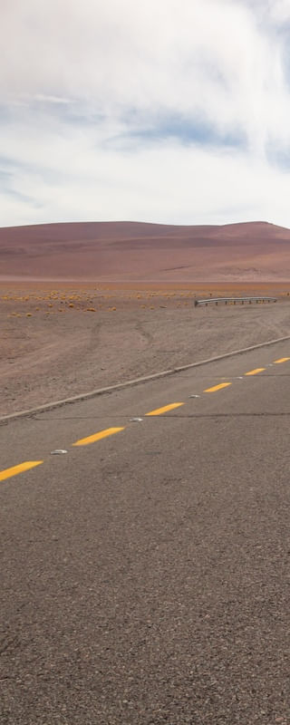 DESERT TRIP - TRÍPTICO 1