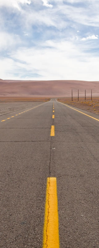 DESERT TRIP - TRÍPTICO 2