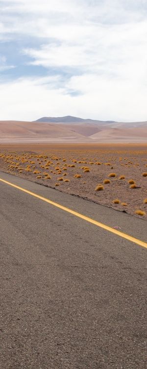 DESERT TRIP - TRÍPTICO 3