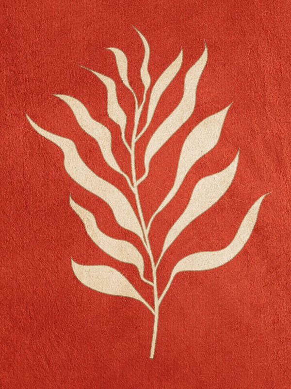 SERIÉ HENRI MATISSE - 02B