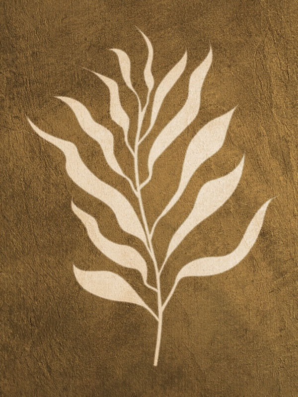 SERIÉ HENRI MATISSE - 02D