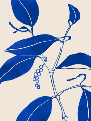 MINIMAL PLANT 25