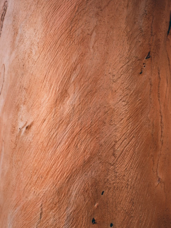 WOOD TEXTURE