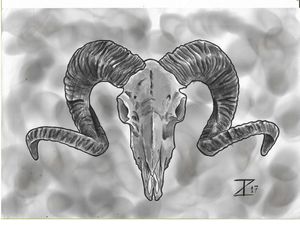 WESTERN GOAT