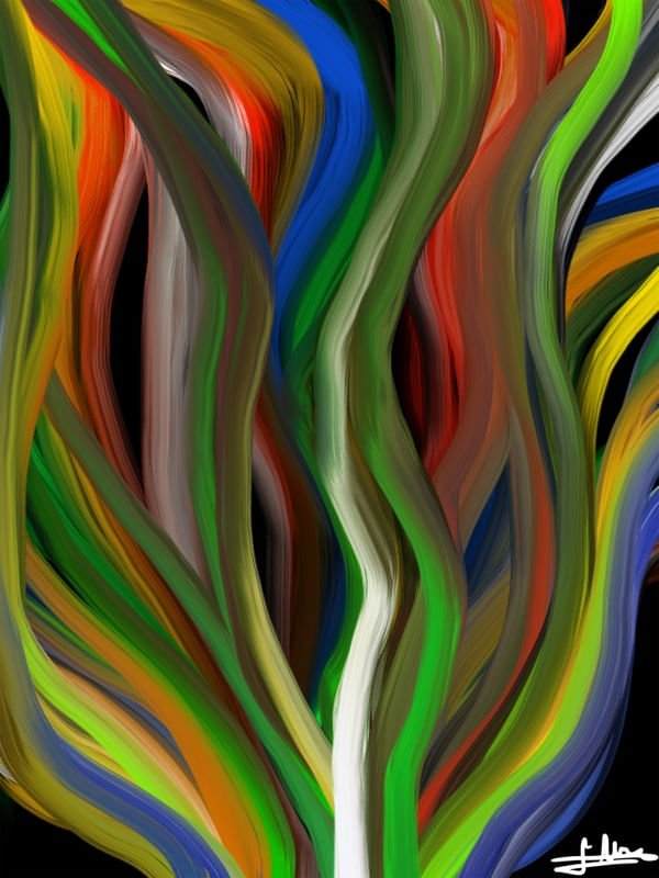 FOGUEIRA EM CORES
