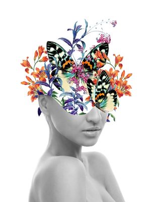 DELICADEZA DS 01
