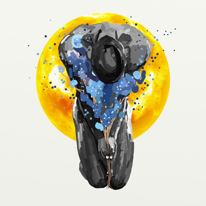BODIES 062