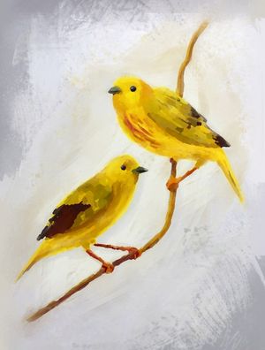CASAL AMARELO