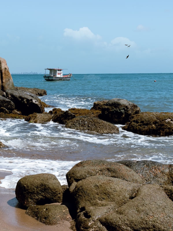 PERNAMBUCO AZUL