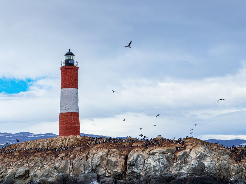 FAROL LES ECLAIREURS 2