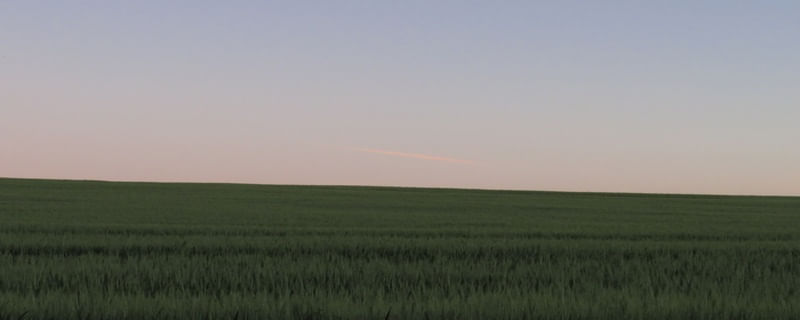 RASTRO NO CÉU