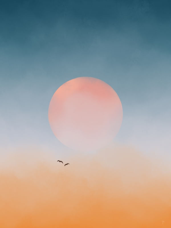 PÁSSAROS A CAMINHO DA LUA