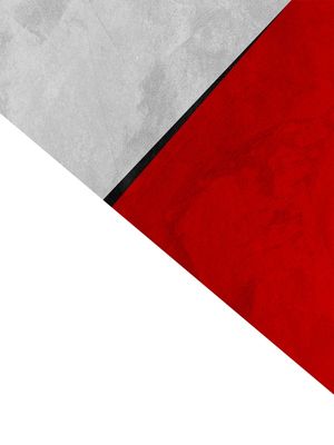 FORMAS GEOMETRICAS - 173D