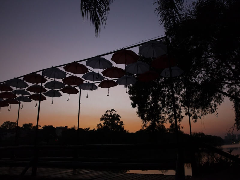 UMBRELLA LONDRINA