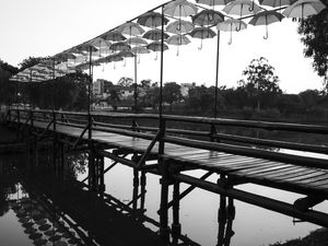 A PONTE DE GUARDA-CHUVAS EM LONDRINA