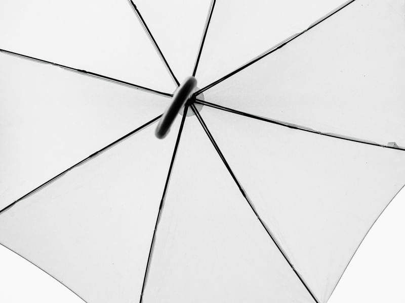 AS LINHAS MINIMALISTAS DO GUARDA CHUVA