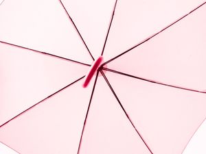 AS LINHAS DELICADAS DO GUARDA CHUVA ROSE