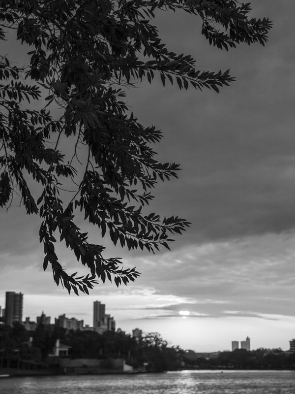 PAISAGEM ÁRVORE E NUVENS