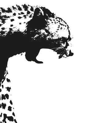 MY CHEETAH SERIES 1
