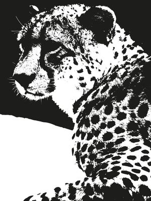 MY CHEETAH SERIES 3