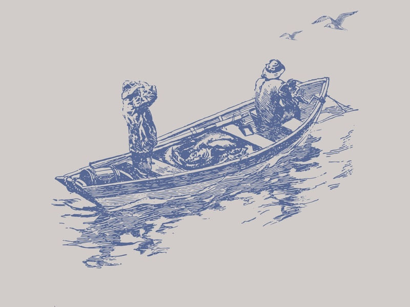 BARCO IV