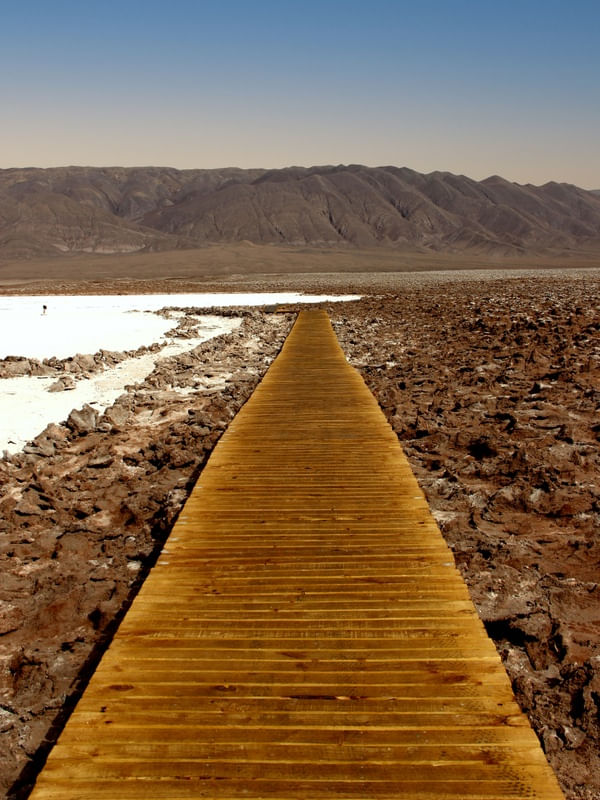 TX - ATACAMA 18