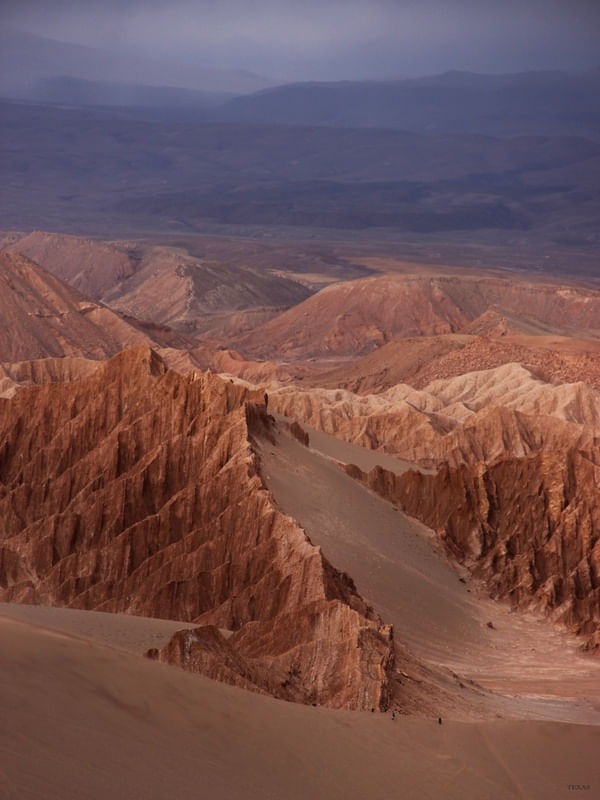 TX - ATACAMA 20