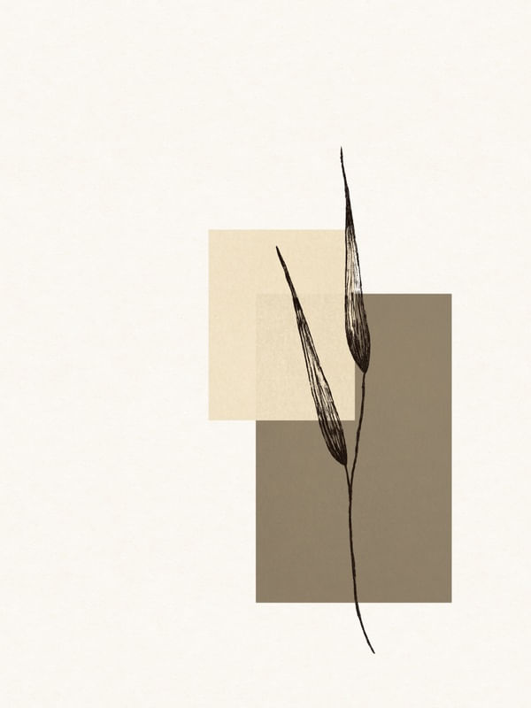 SECOS 01