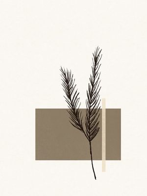 SECOS 02