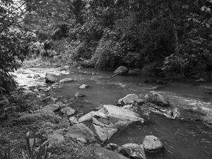 AS PEDRAS NO RIO