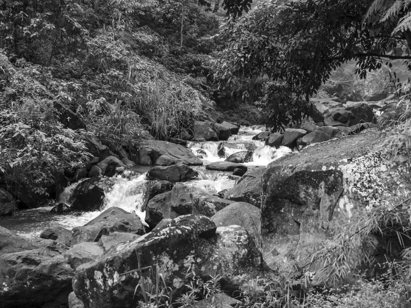 O CURSO DO RIO ENTRE AS PEDRAS