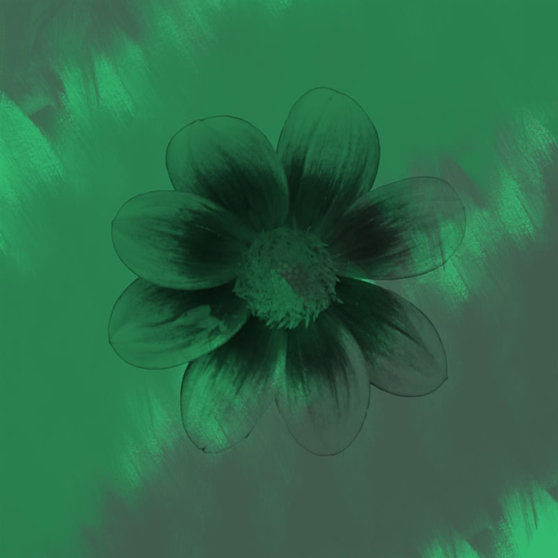 VIVA IL FIORE