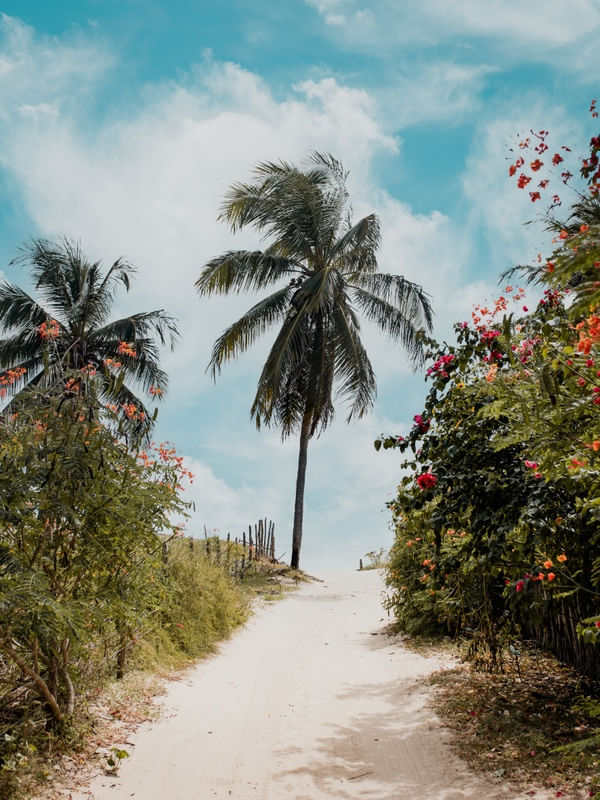 CAMINITO IN ICARAIZINHO